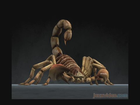 Deadly Creatures : Principe