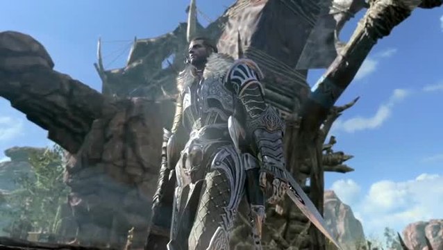 Kingdom Under Fire II : La customisation