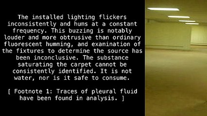 Level 0 "Tutorial Level" [The Backrooms]