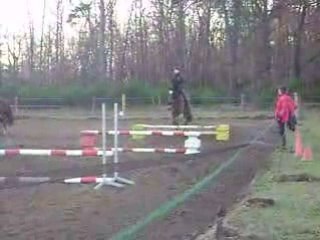 saut d'obstacle