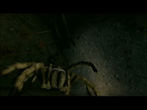 Deadly Creatures : E3 2008 : Les petites bêtes attaquent