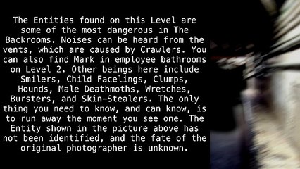 Level 2 "Pipe Dreams" [The Backrooms]