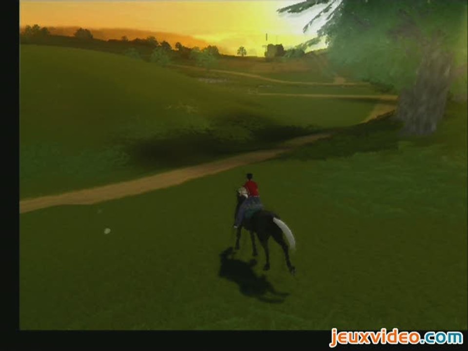 Riding Star : Competitions Equestres :