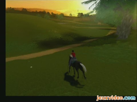 Riding Star : Competitions Equestres :