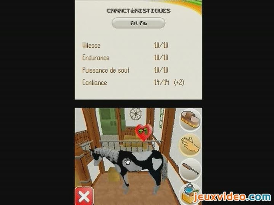 Riding Star : Competitions Equestres : Chouchoutez votre cheval