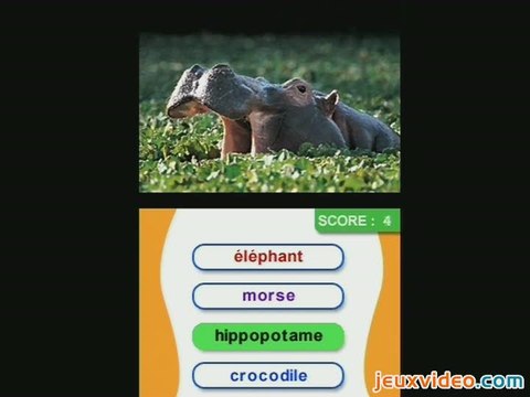 Animal Genius : Le Grand Quiz des Animaux : Les quatre épreuves