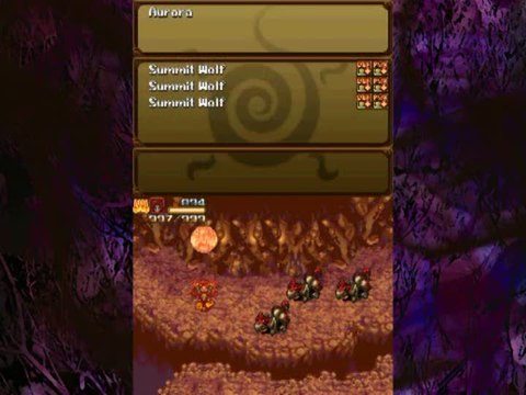 Black Sigil : Blade of the Exiled : Les personnages principaux 1