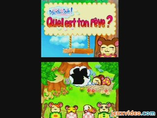 Hamtaro : Joue avec les Ham-Hams : Sortie au Parc