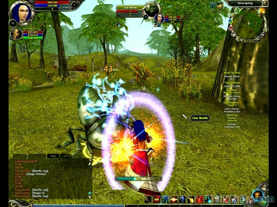 Runes of Magic : Combat