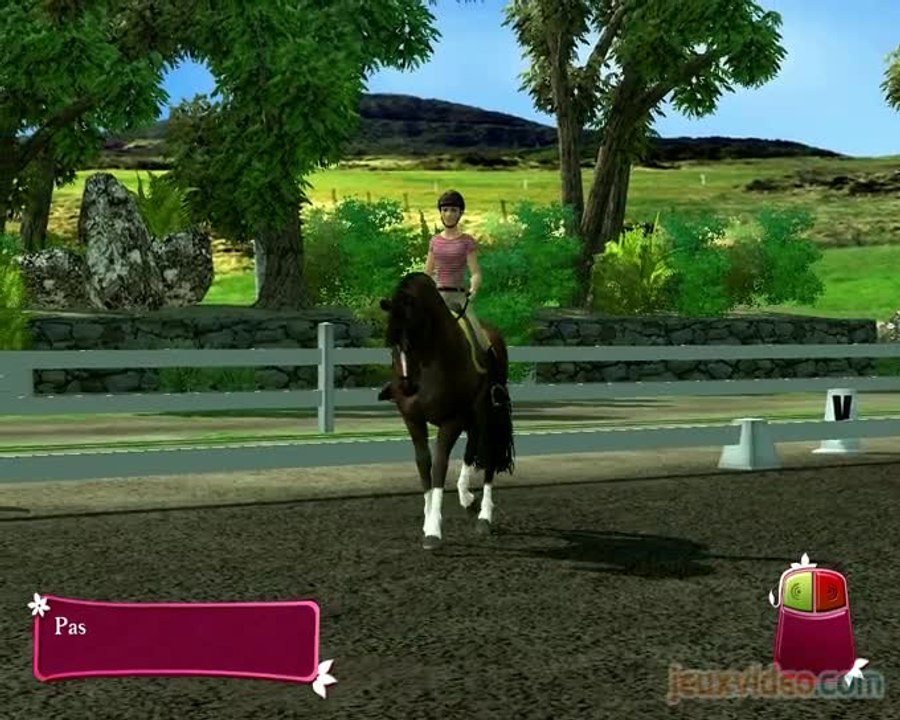 Horse Life : Amis pour la vie : Après l'effort, le réconfort