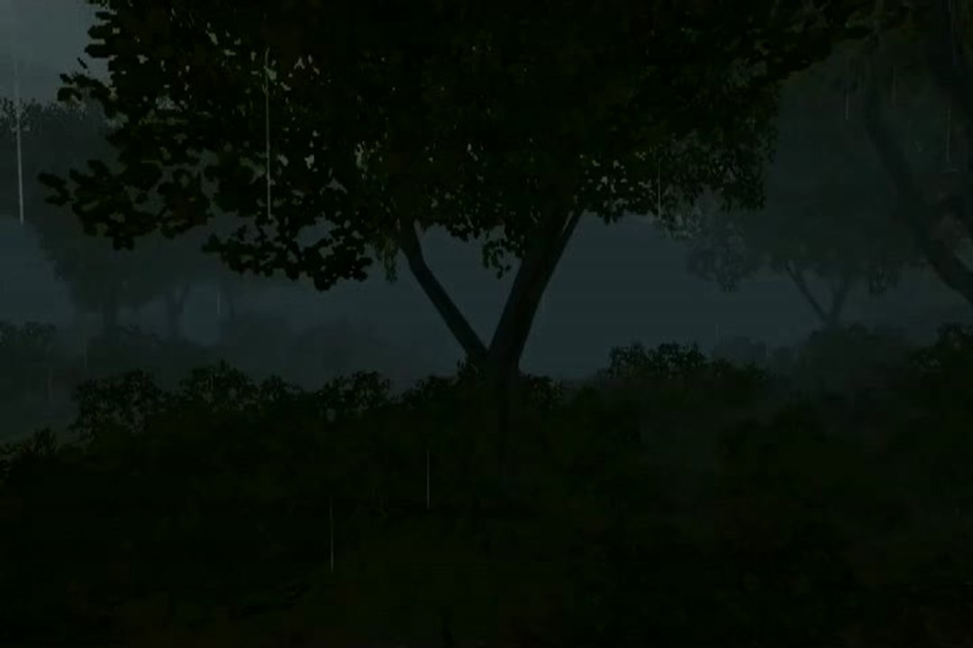 Combat Arms : Loup y es-tu ?