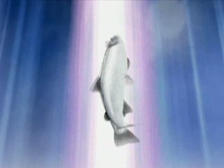 Fishing Master World Tour : Safari