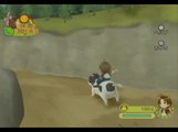 Harvest Moon : Parade des Animaux : Gameplay