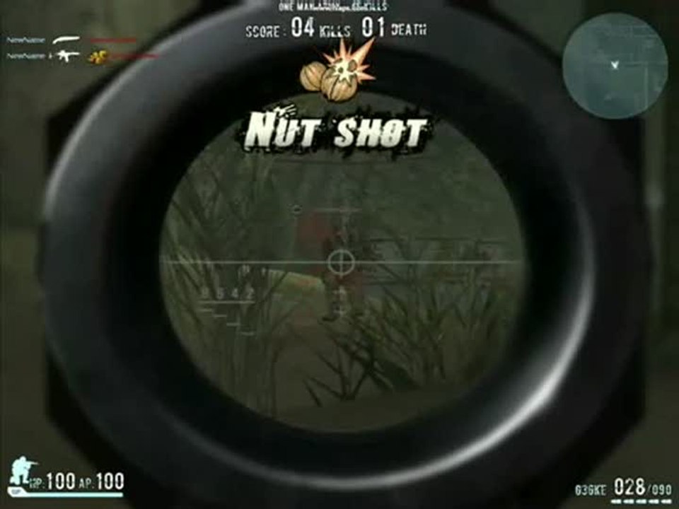 Combat Arms : Nut shot