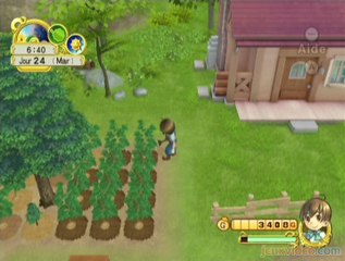 Harvest Moon : L'Arbre de la Sérénité : Une journée ordinaire