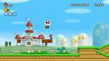 New Super Mario Bros. Wii : Flower power