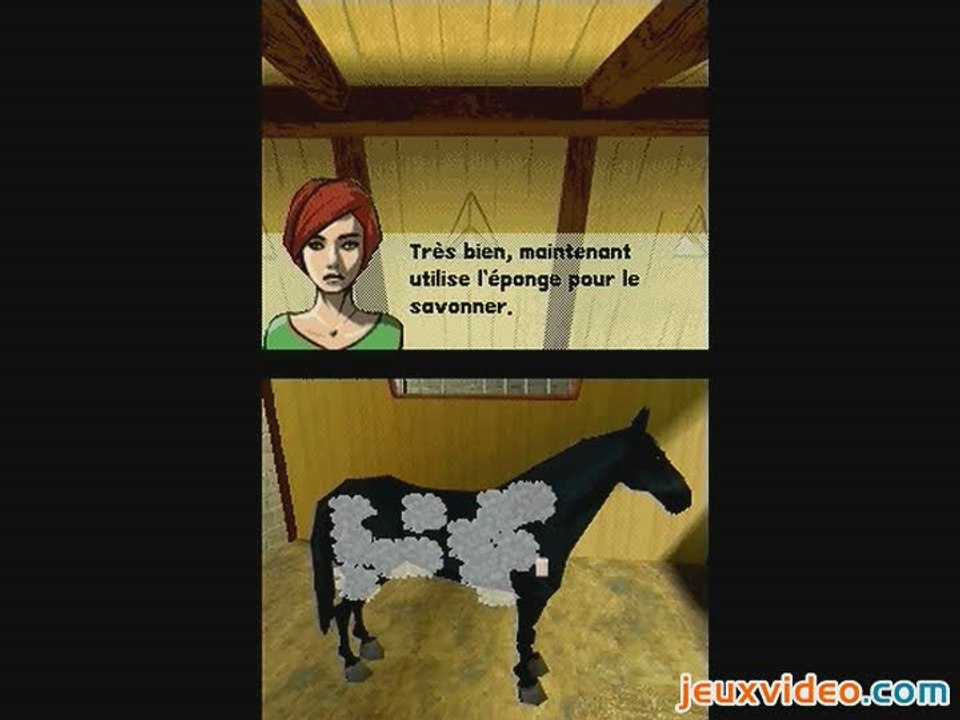 Mon Cheval et Moi 2 : Occupez-vous de votre cheval