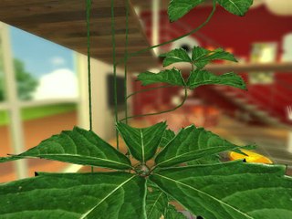 I-Fluid : Escalade d'une plante