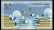 New Super Mario Bros. Wii : Super Skills