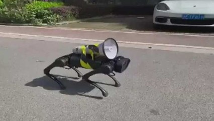 Şanghay'da robot köpek gündem oldu