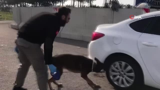 Aile süsüyle uyuşturucu sevkiyatı... 4 kilo 700 gram esrar ele geçirildi