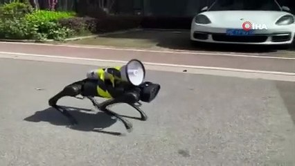Şanghay'da sokaklarda dolaşan robot köpek gündem oldu