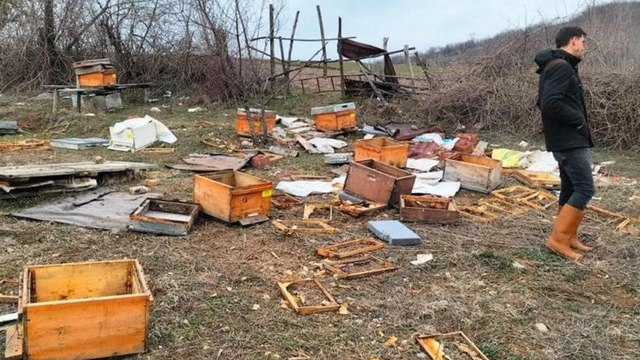 Baba yadigarıydı, gördükleri manzara ile şoke oldular