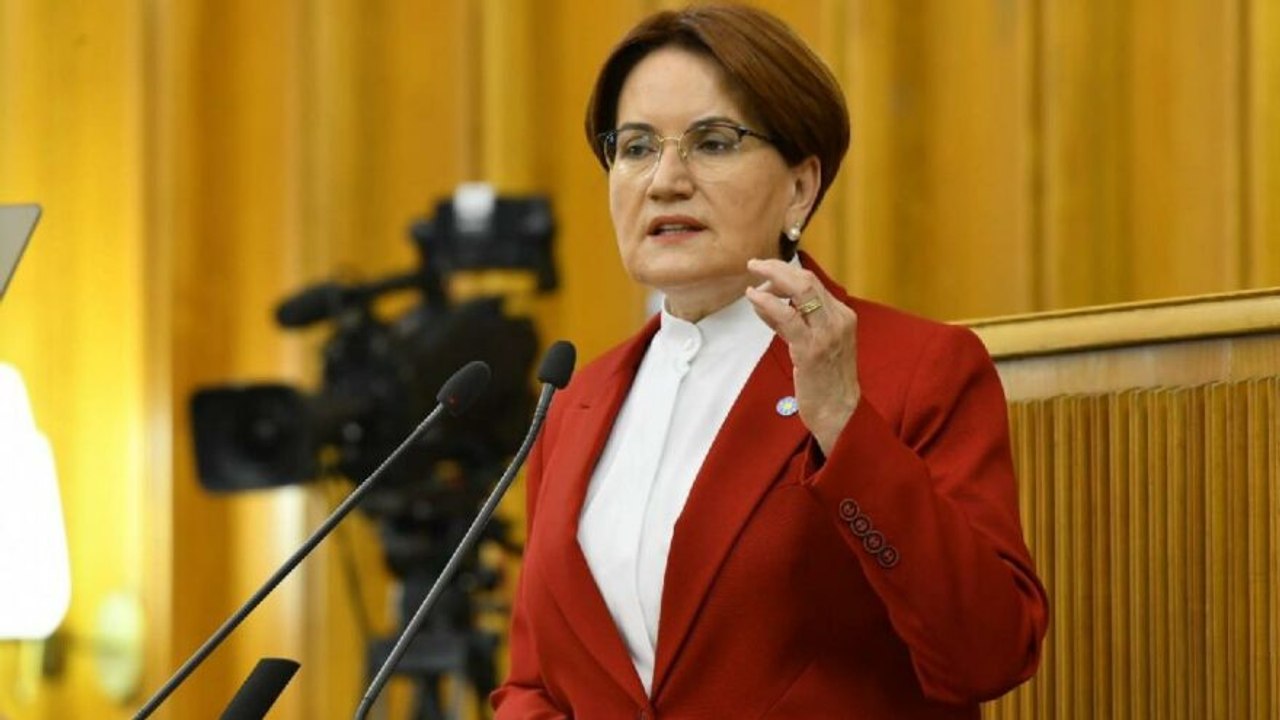 Meral Akşener’den Erdoğan’a: Herşeyoloji’ profesörü