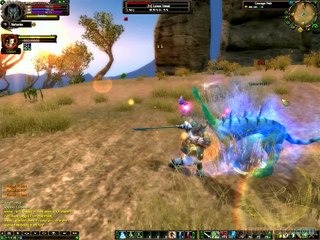 Perfect World International : Combat