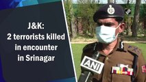 Two terrorists killed in encounter in Srinagar