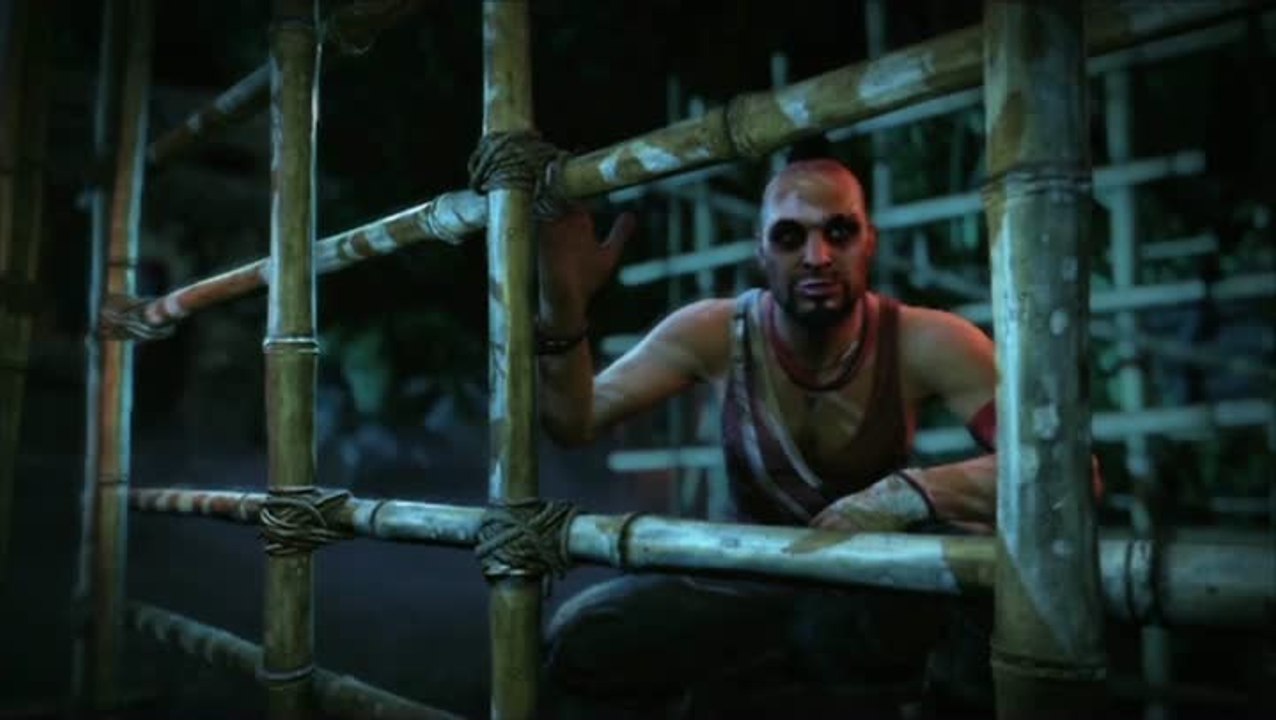 Far Cry 3 : Les voix de la folie : Vaas