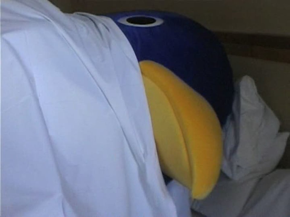 Prinny : Can I Really Be the Hero ? : Jour 1