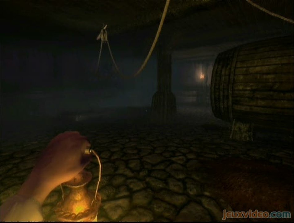 Amnesia : The Dark Descent :