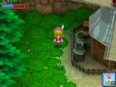 Harvest Moon : Welcome to the Bazaar of Wind : Le petit prince jardine