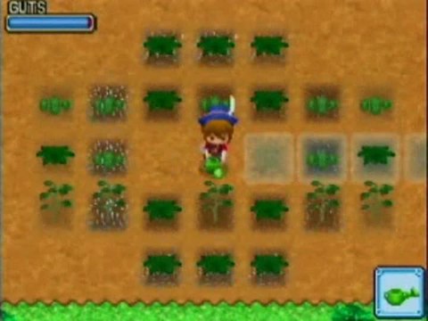 Harvest Moon : Welcome to the Bazaar of Wind : Plantation