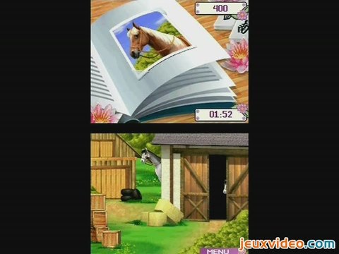 Cheval Passion : Mon Centre Equestre : Paparazzi