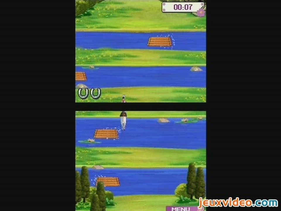 Cheval Passion : Mon Centre Equestre : Frogger