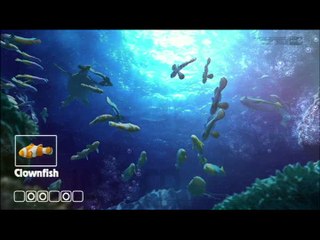 Let's Tap : Séquences variées