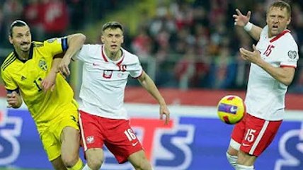 Ibrahimovic: 'Un futuro in nazionale e al Milan? Lo spero'