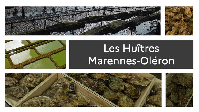 Un produit, un territoire les huîtres Marennes-Oléron