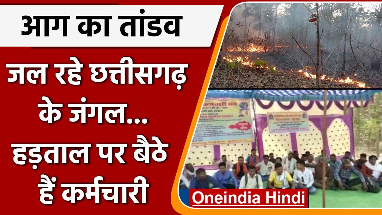 Chhattisgarh के फॉरेस्ट रेंज में आग का फैलना जा...