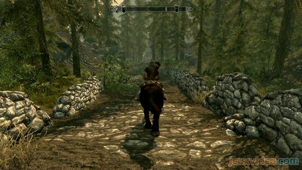 The Elder Scrolls V : Skyrim : Un voyage mouvem...
