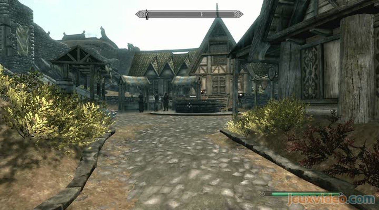 The Elder Scrolls V : Skyrim : 3/4 : Un univers plus immersif que jamais
