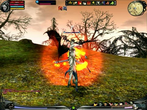 Shaiya Eternity : Combats