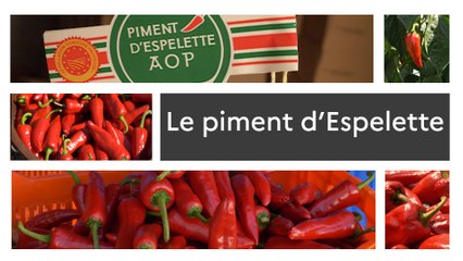 Un produit, un territoire le piment d'Espelette
