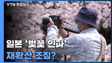日 '벚꽃 인파'에 재확산 조짐...그래도 "백신은 싫어요" / YTN