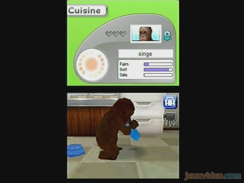 Petz : Ma Famille Singes : Adoptez un bébé singe