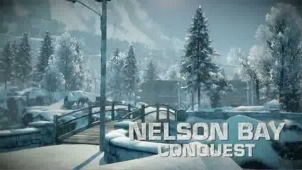 Battlefield : Bad Company 2 : Un peu plus de contenu VIP