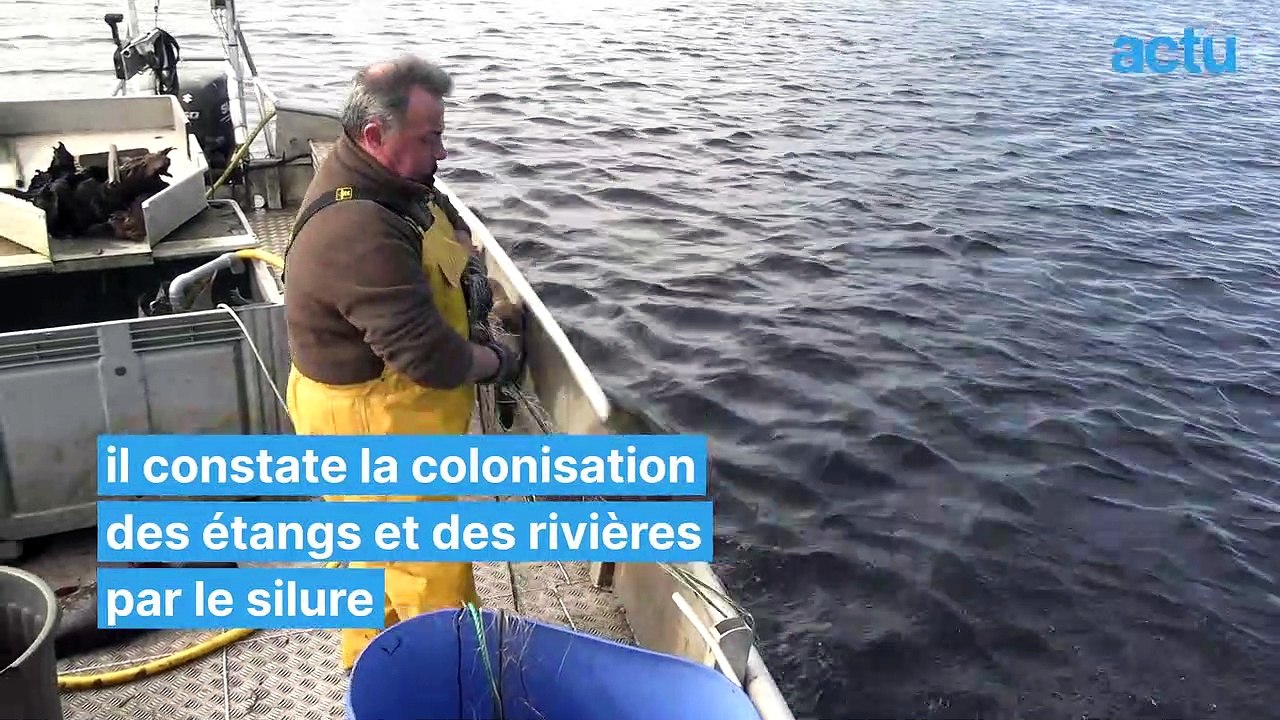 Didier pêche le silure qui colonise les rivières et les étangs