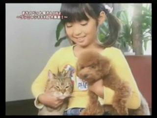 Machi no Pet 2 : Premier trailer